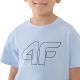 4. T-Shirt 4F M2325 Jr 4FJWSS25TTSHM2325 33S