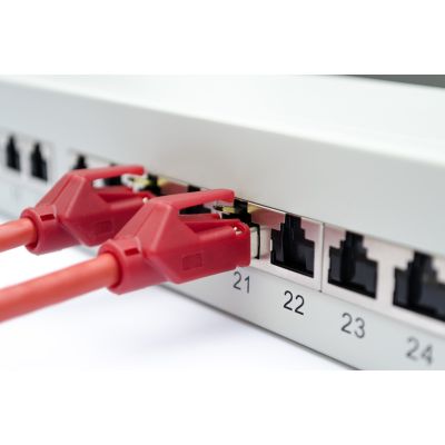 2. Digitus Patchpanel 19 Zoll, 24x RJ45, LSA-Level, Cat. 6A, geschirmt, 1 HE, grau, Kabelführung