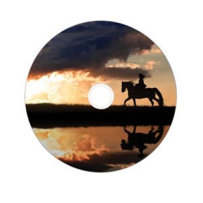 3. Verbatim 43703 DVD-Disc 8,5 GB DVD-R DL 50 Stück.