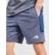 3. The North Face Herren-Fleeceshorts – Bequemer, sportlicher Stil
