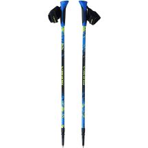 Viking Nordic Walking Stick