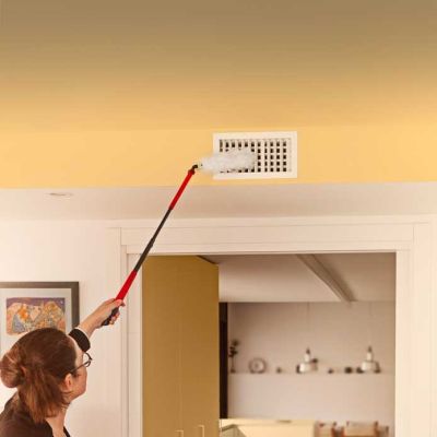 2. Vileda Staubwedel mit langem Griff + 1 Flex&Catch Einsatz