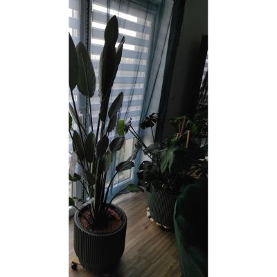 7. MILLY BLUMENTOPF DURCHMESSER 24 CM KUPFER