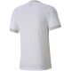 2. Puma teamGOAL 23 Trikot M 704171 04