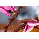 14. LEGO Botanicals 11510 - Magnolienzweige