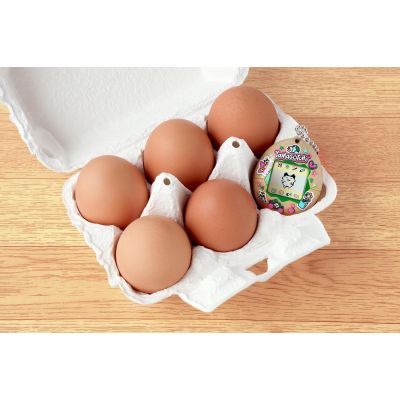 3. TAMAGOTCHI - ECO CELEBRATION EGG