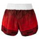 26. Masters Kickbox-Shorts Skb-W M 06654-02M