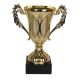 Der Triumph Cup W1679