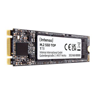 5. M.2-SSD 1 TB Intenso Top Performance
