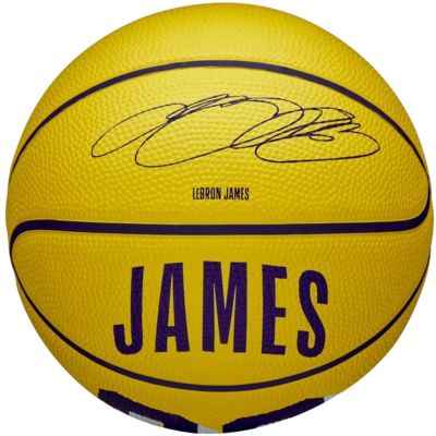 Wilson NBA Player Icon LeBron James Miniball WZ4027701XB Basketball
