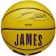 Wilson NBA Player Icon LeBron James Miniball WZ4027701XB Basketball