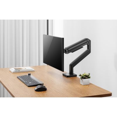 3. Digitus Einzelmonitorhalterung, 49", 20 kg