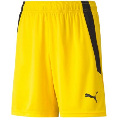4. Puma teamLIGA Shorts Jr 704931 07