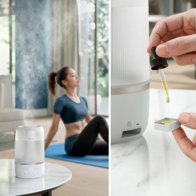 4. Philips Luftbefeuchter der Serie 1000