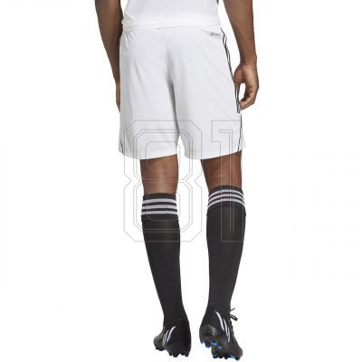 4. adidas Tiro 23 League M IB8083 Shorts