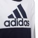 3. Adidas Colorblock Fleece Jr HC5659 Sweatshirt