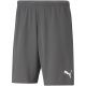 3. Puma teamRise Shorts M 704942 13