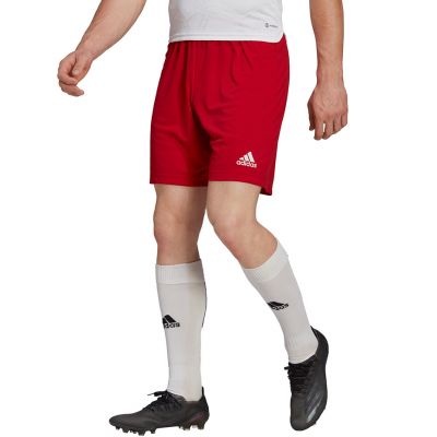 5. adidas Entrada 22 M H61735 Shorts