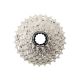 SHIMANO Kassette 12-fach 11-34 CS-R8101 Ultegra