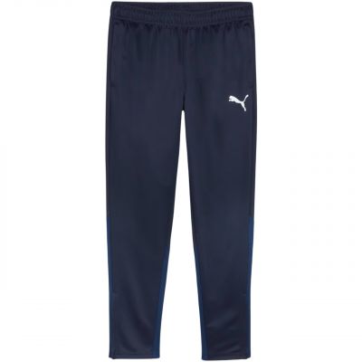 Puma Team Goal Trainingshose M 658639 06