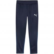 Puma Team Goal Training Pants M 658639 06