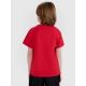 3. T-Shirt 4F Jr 4FJWSS25TTSHM2325-62S