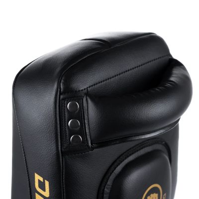 10. PAO Gold Thai Shields Paar | ProFighter | DBX Bushido