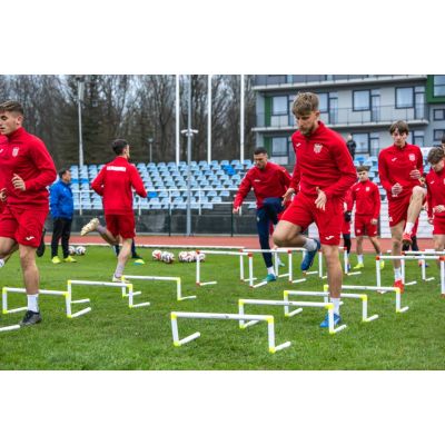 3. Pro Yakima Sport Trainingshürde 40cm 100083