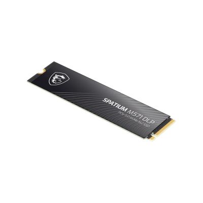10. MSI SPATIUM M571 DLP PCIe 5.0 NVMe M.2 2 TB SSD