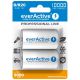 everActive EVHRL20-10000 Akku (10000mAh ; Ni-MH)
