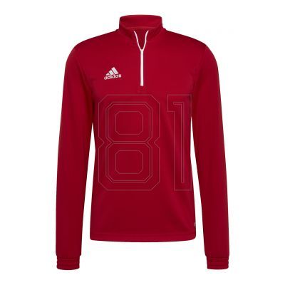 Adidas Entrada 22 M Sweatshirt H57556