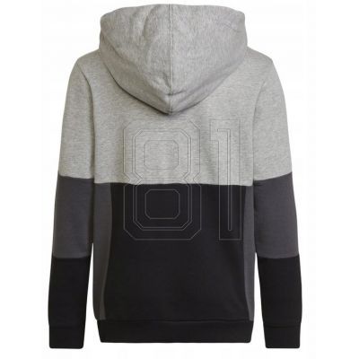 2. Adidas Colourblock Hoodie Jr HN8563 sweatshirt