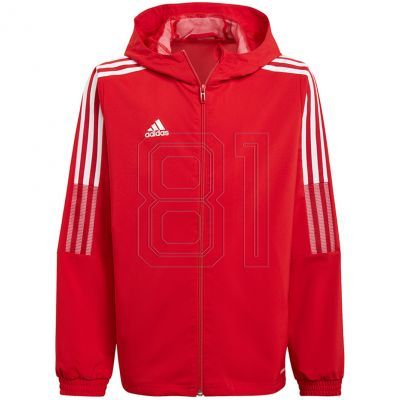 Jacket adidas Tiro 21 Windbreaker Jr GP4976