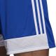 9. adidas Tastigo 19 Shorts M DP3682