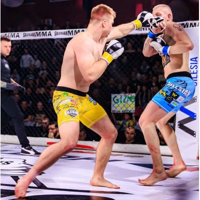 14. MMA-Sparringhandschuhe S/M - Edge - Valor Series