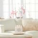 5. Mittlere Kerze WARM CASHMERE YANKEE