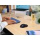 4. TRUST Mydo Silent kabellose schwarze Maus