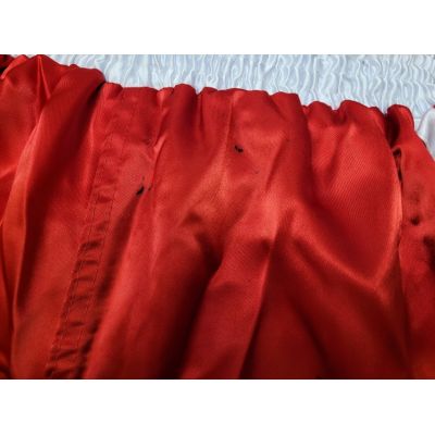 38. Masters SKBP-100W Hose (Wako-Zulassung) 06805-02M