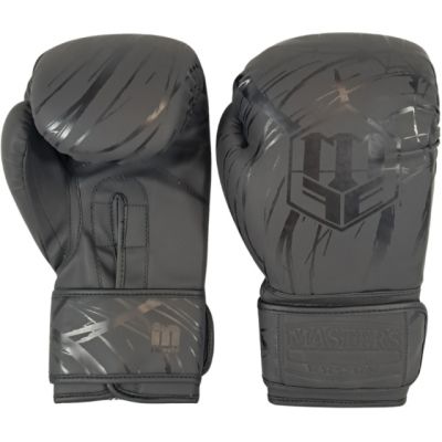 10. MASTERS RPU-COLOR/COLOR Boxhandschuhe
