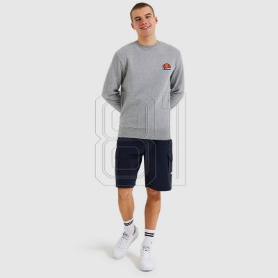 2. Ellesse Diveria M Sweatshirt SHS02215-112