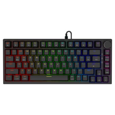 9. SAVIO MAGNETISCHE TASTATUR ASTRAL SCHWARZ OUTEMU WEISS JADE RGB