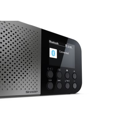 4. Sharp DR-P520 Personal Digital Grau