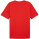 2. Puma Team Rise Logo Jersey Baumwolle M 658705 01