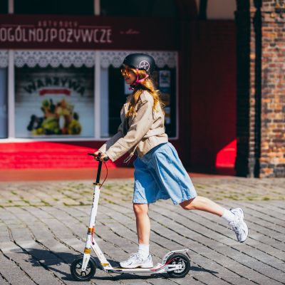 2. HM209T WEISS-GOLD ROLLER MIT SCHEIBENBREMSE NILS EXTREME