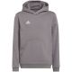 6. Adidas Entrada 22 Hoody Jr Sweatshirt H57515