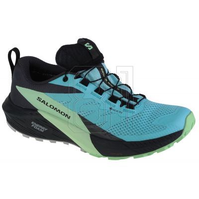 Salomon Sense Ride 5 GTX W 472160 Laufschuhe