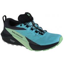 Salomon Sense Ride 5 GTX W 472160 Laufschuhe
