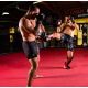 51. MMA-Sparringhandschuhe S/M - Phantom Red - Valor Series
