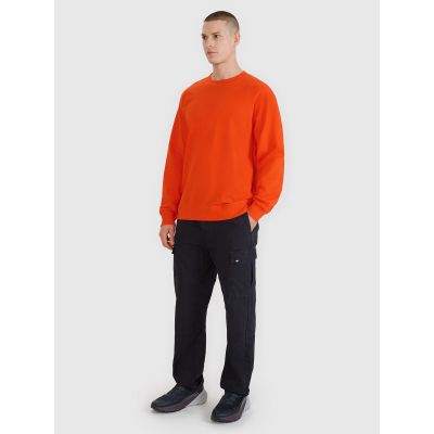 2. Herren Sweatshirt ohne Reißverschluss und Kapuze 4F 4FRSS25TSWSM2179-70S