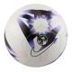 Football Nike Premier League Pitch FB2987-101
